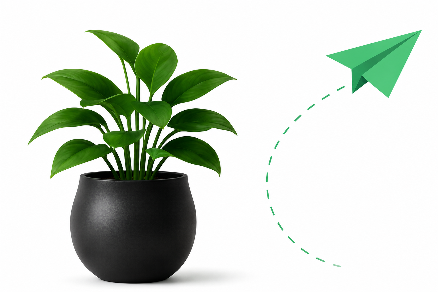 Plant
